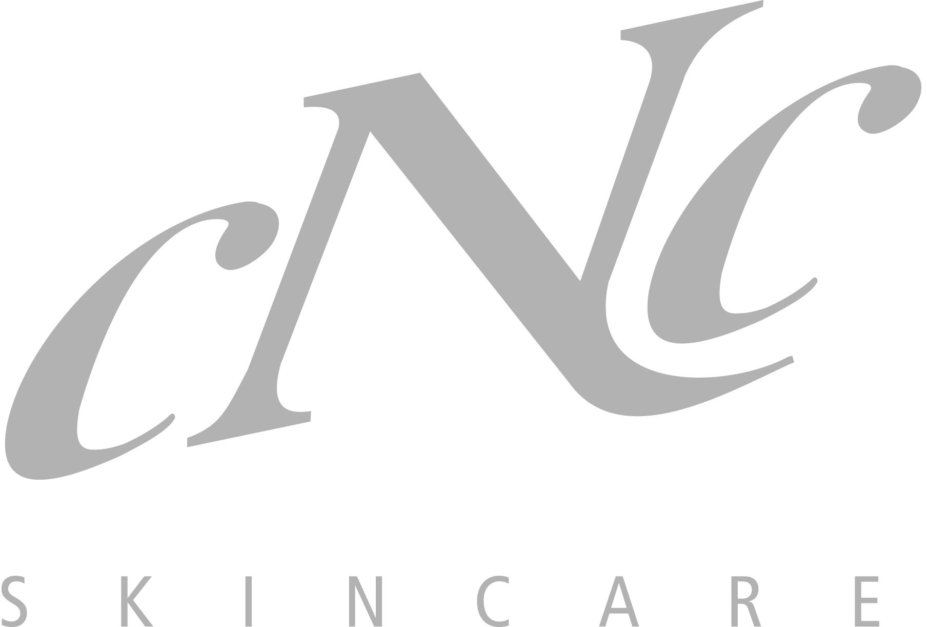 Logo_CNC_Skincare_silber.png